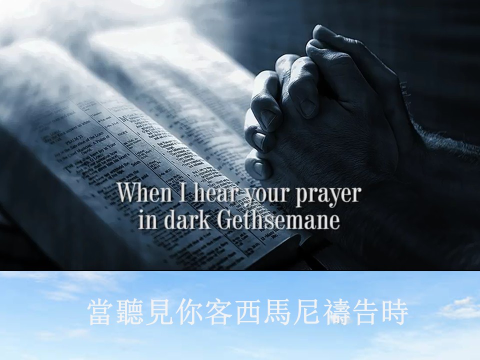 第二堂其他图片